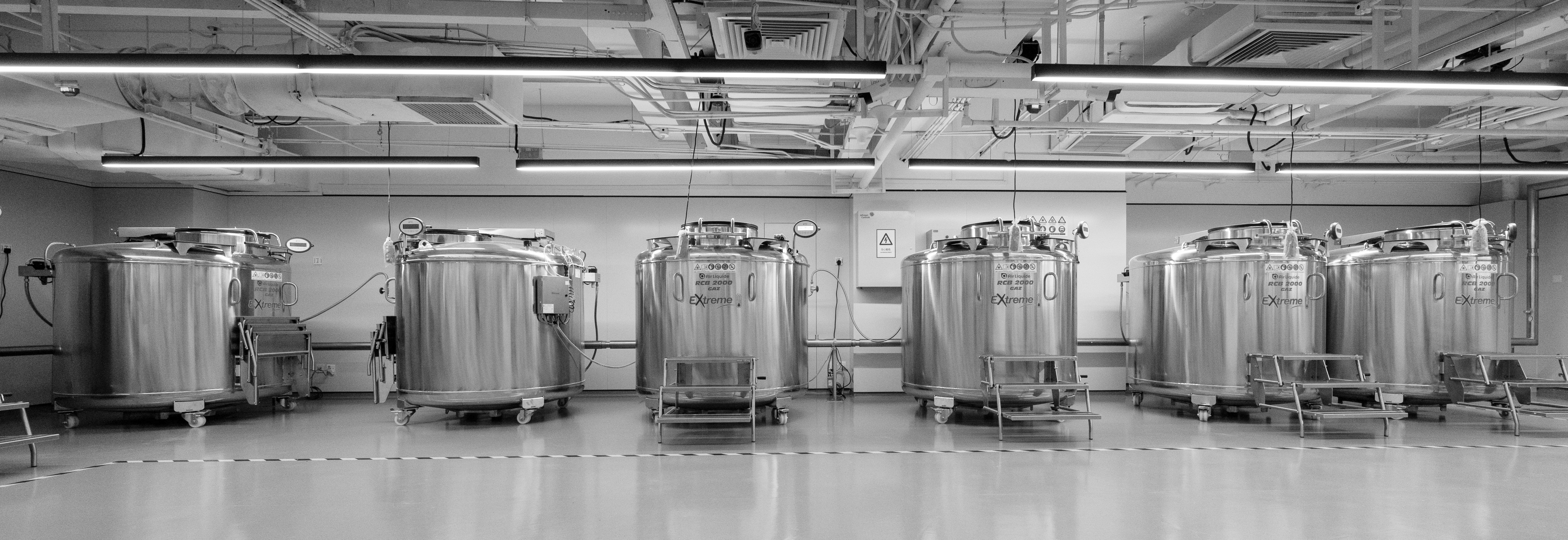 20221028166695043885.jpg 20221028166695043885.jpg